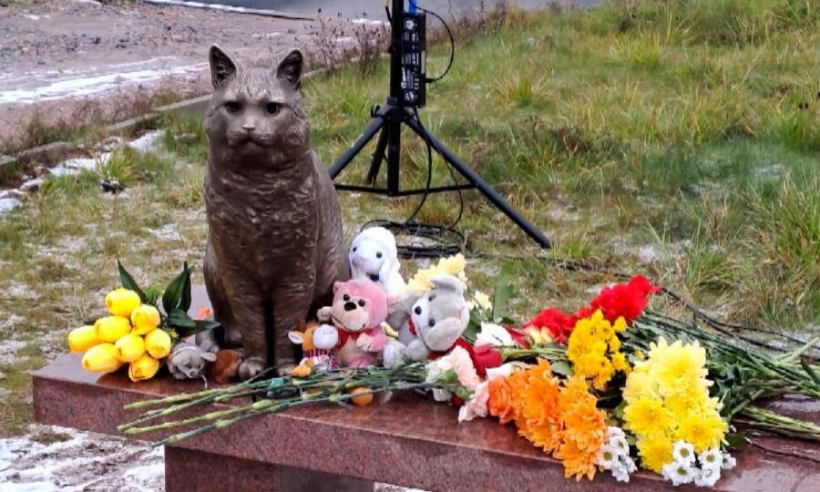 Северодвинскому коту Кузе, которого замучила пара живодеров, установили памятник