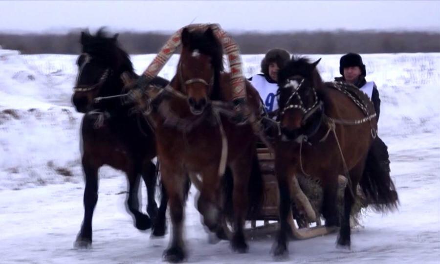 В Мезени прошли областные соревнования конников