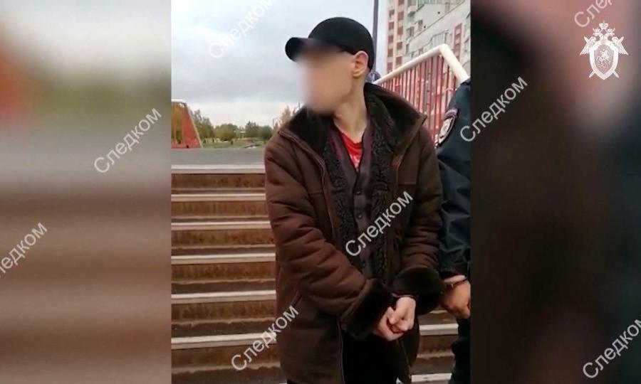 Подозреваемого в убийстве 17-летнего школьника в Северодвинске ждёт принудительное психиатрическое лечение