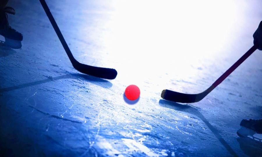 Сегодня архангельский «Водник» проведёт в столице Поморья второй ответный матч полуфинала Чемпионата России