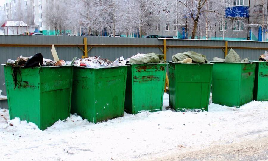 Практически на треть меньше будут платить жители Архангельской области за вывоз и утилизацию мусора