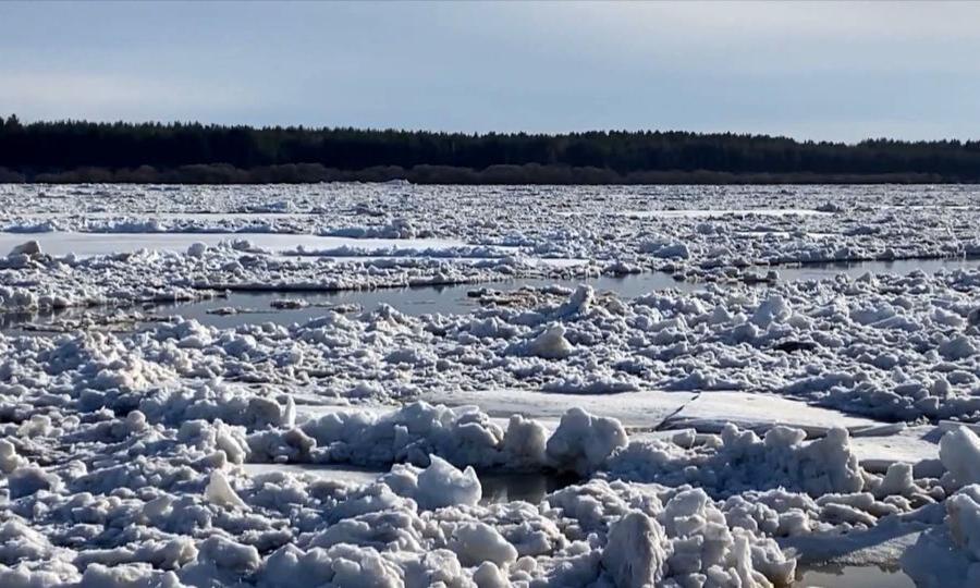 Где сейчас находится ледоход на северной двине