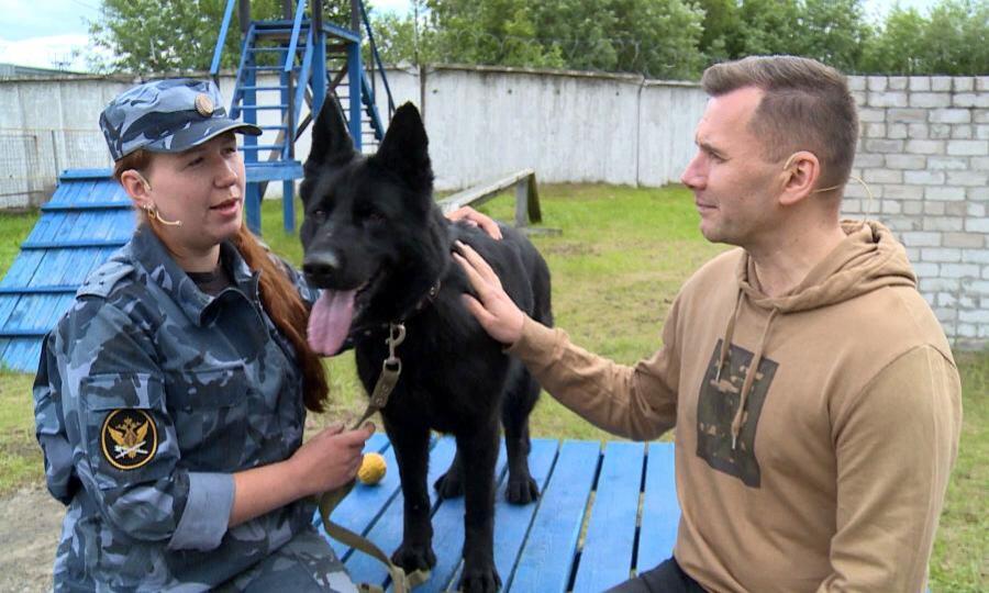 Собака день кинолога. С днем кинолога. Праздник кинологии. День кинолога с праздником.