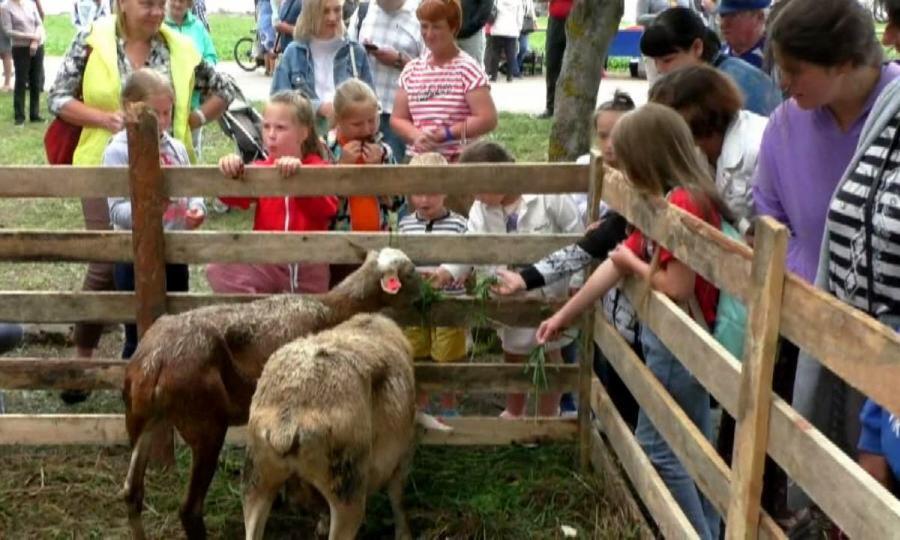 В Каргополе отметили День барана