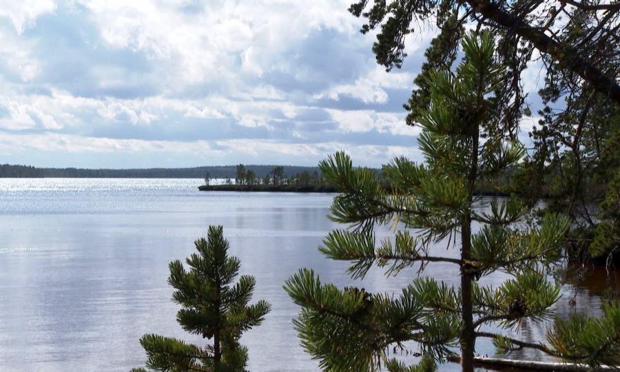 Поморье регион. Поморье Архангельская область. Поморье МЦ Архангельск. Природа Поморья. История Поморья.