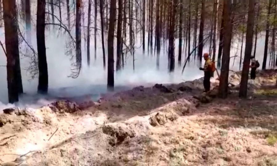 Картинка особый противопожарный режим в лесах