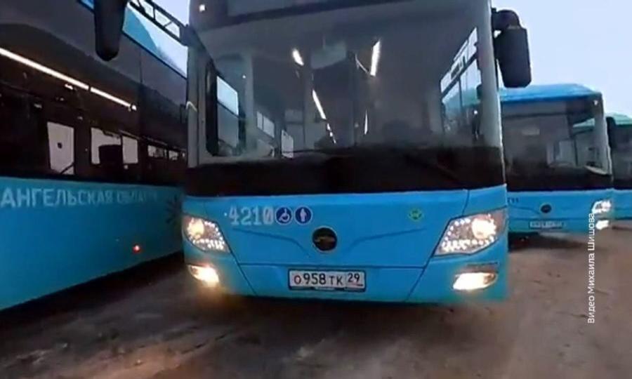 Трансы в автобусе порно видео